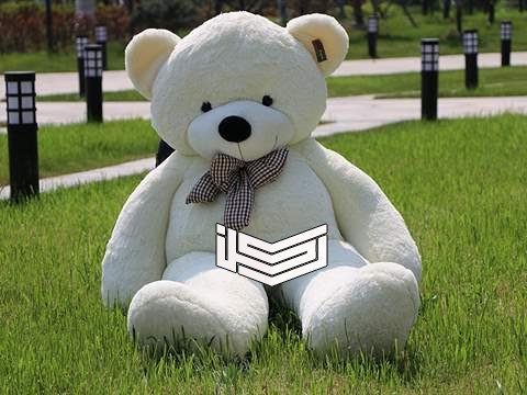 رؤية الدبدوب في المنام للمتزوجة