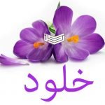 اسم خلود