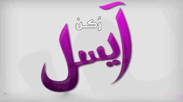  Aisel 
