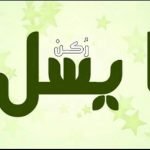 معنى اسم ايسل Aisel