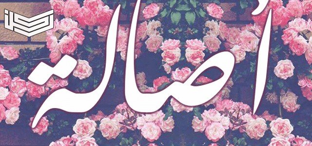 معنى اسم أصالة