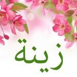 معنى اسم زينة