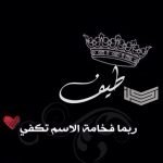 صفات حامل اسم طيف