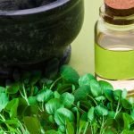 تفسير حلم الجرجير