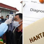 فيروس هانتا (hantavirus)