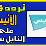 تردد قناة الأنيس