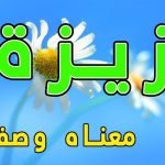 معنى اسم عزيزة
