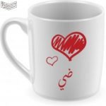 معنى اسم ضي