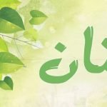 معنى اسم كنان