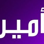 معنى اسم أمير