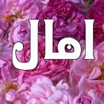 معنى اسم آمال