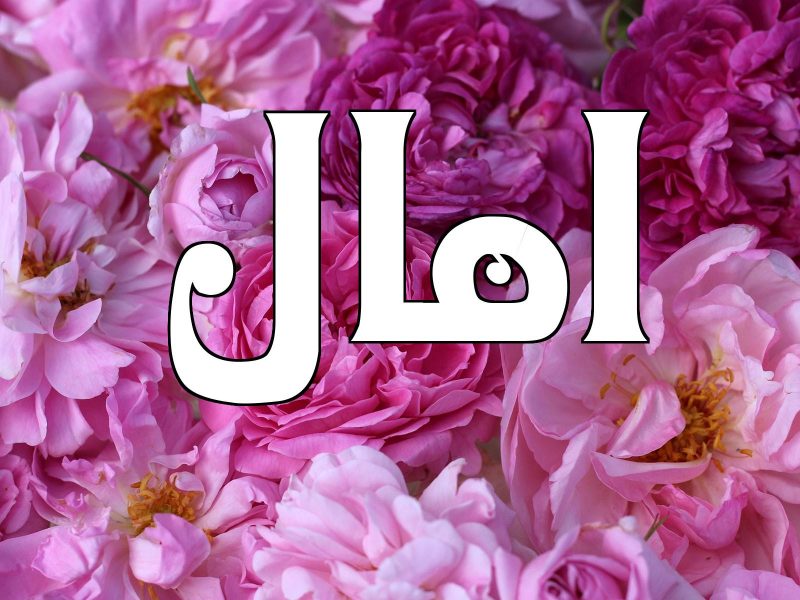 معنى اسم آمال في اللغة العربية وصفات حاملة الاسم