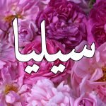 معنى اسم سيليا