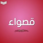معنى اسم قصواء