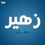 معنى اسم زهير