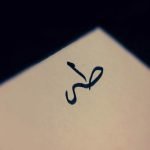 معنى اسم طه