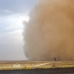 ماهو الغبار الزهري معلومات عنه