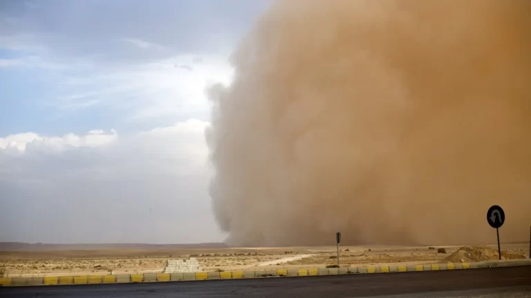 ماهو الغبار الزهري معلومات عنه