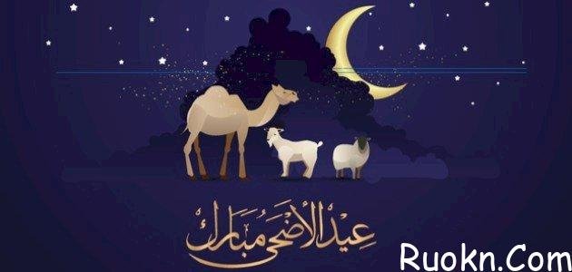 أجمل خلفيات تهنئة عيد الأضحى المبارك 1443