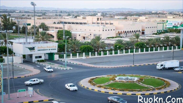 رابط أسيج تسجيل دخول 2022 تأمين مركبات