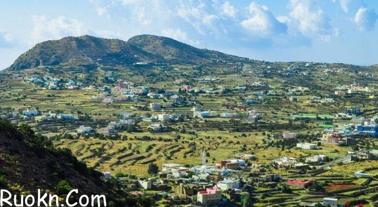 كم عدد سكان ابها 1444