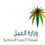 شرح المادة 111 من قانون العمل السعودي